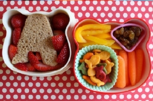 Bento Box Lunches