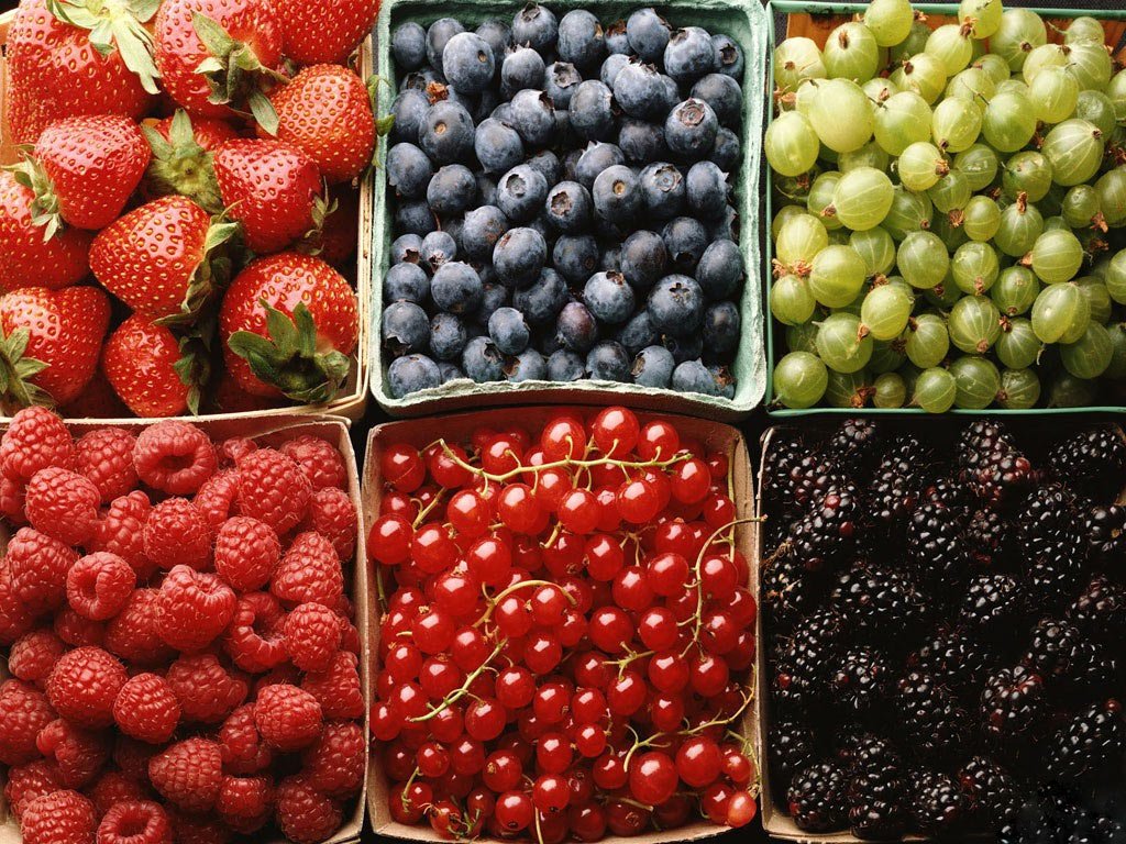 Fresh Produce