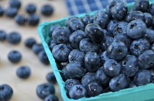 Gluten Free Blueberry Muffins