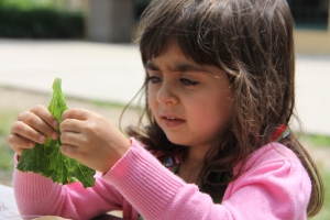 Kid Friendly Salads