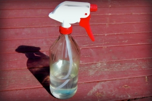 Glass Spray Bottle
