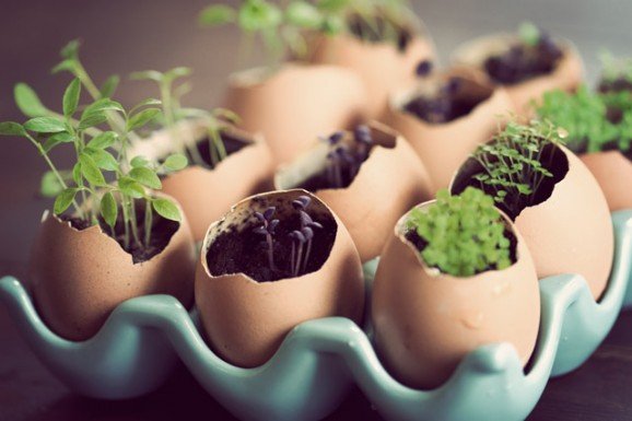 Gardening with Kids