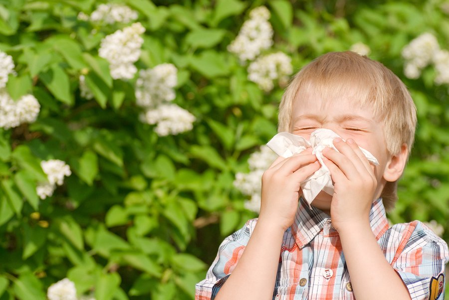 Seasonal Allergies