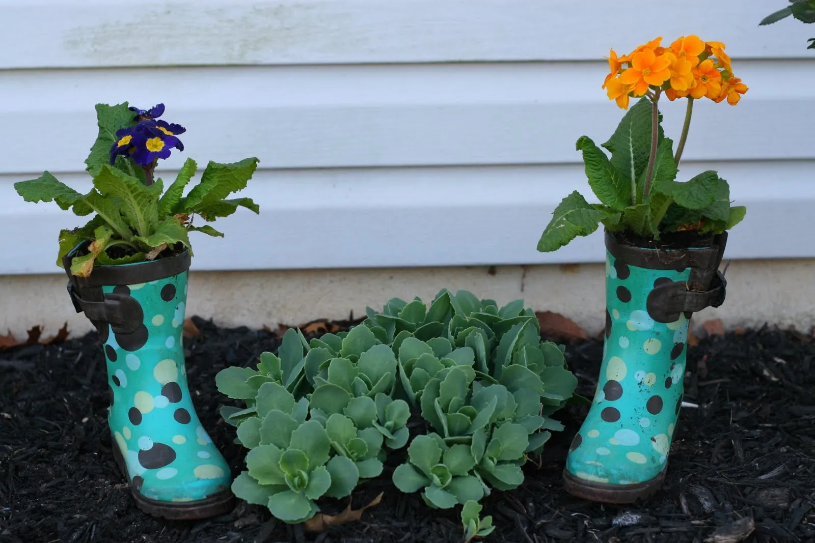 Gardening with Kids: DIY Rain Boot Planters